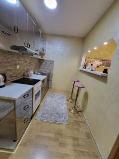 Apartman Golden Rose - Loznica - 7