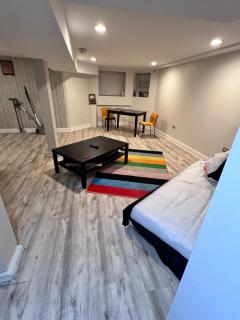 Simplified Living Space - Chicago - 1