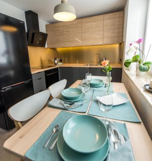 Apartament Wilaneska - Krynica Zdrój - 1