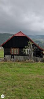 Casa Sașilor - Arieşeni - 3