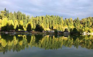 Ohop Lake Escape - Eatonville - 6