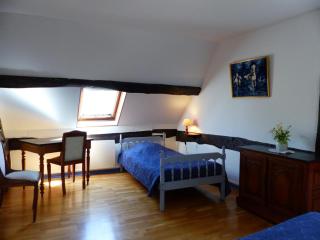 Maison solognote avec piscine chauffée, jardin et équipements complets près du Pal. - FR-1-489-12 - Diou - 1