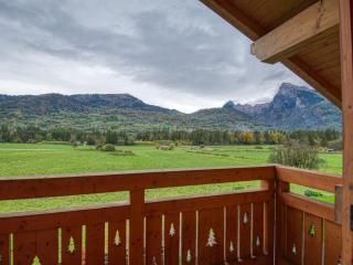 Duplex 2 chambres avec grande terrasse, animaux acceptés, à Samoëns - FR-1-642-77 - Samoëns - 4