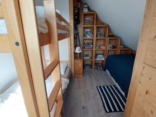 Charmant T3 avec balcon, proche des pistes, animaux admis - FR-1-516-189 - Les Deux Alpes - 3
