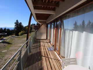 Appartement cosy 3 pièces à Chamrousse - Proche pistes, 6 pers, bien équipé - FR-1-549-118 - Chamrousse - 4