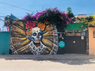 Los Nardos Hostel -pet friendly- - Città di Oaxaca - 3