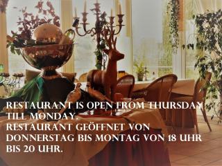 Hotel Sonnenhof - Lügde - 6