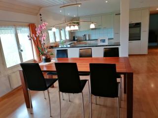 Schwellbrunn,Ferienwohnung mit Säntissicht - Schwellbrunn - 8