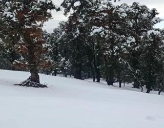 Camping at Deoriatal Adventure Camps - Ukhimath - 5