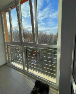 Luxury and comfortable apartment - Chişinău - 0