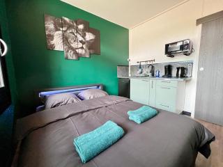 Magnifique studio ~Hipster~ porte du Futuroscope - 8