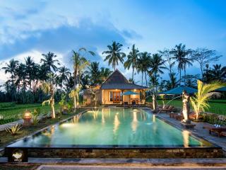 Intan Villa & Suite Ubud - Ubud - 3