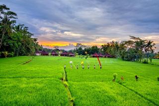 Intan Villa & Suite Ubud - Ubud - 8