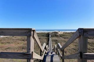 Salt and Horns - Port Aransas - 7