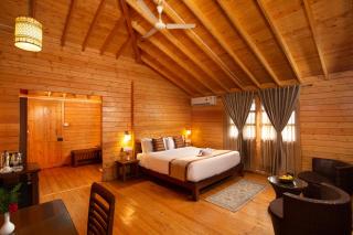 The Porcupine Castle Resort - 9
