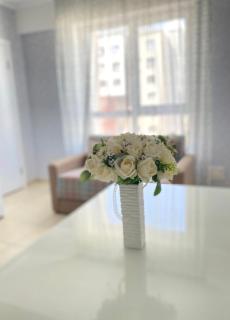 Luxury apartment - Chişinău - 0