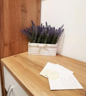 Apartman WIND Zlatibor - Zlatibor - 5
