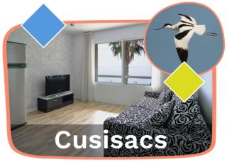 Ornis Apartments Platja - Sant Carles de la Ràpita - 2