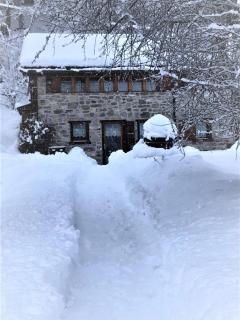 A l'orée du bisse - Anzère - 1