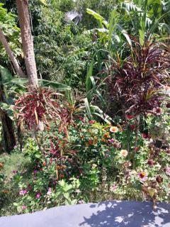 PEACE AND LOVELY HOME LODGE - 1