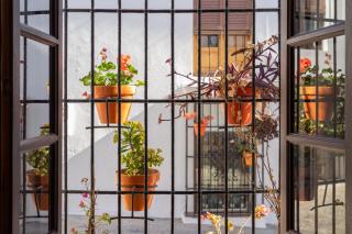 Casa Blanca - Estepona - 7