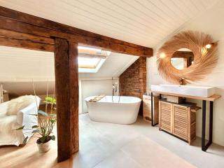 Les Puits Clos : magnifique T2 sous les toits - Toulouse - 4