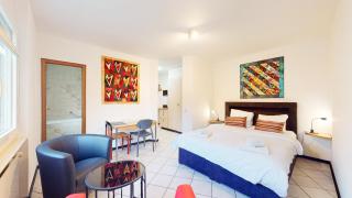 Spacious studio in a nice area in Sierre - Sierre - 0
