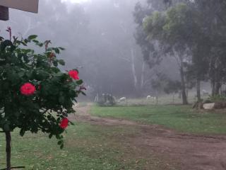 Forellenhof Guest Farm - Wakkerstroom - 7
