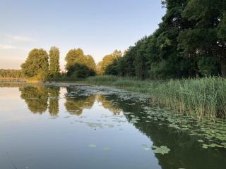 Cisy Resort II-idealny dla gości ze zwierzętami,ogrodzony teren na wyłączność,150 m od jeziora - Ełk - 1