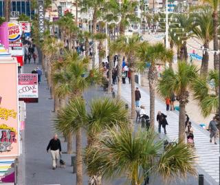 SEAFRONT UNBEATABLE LOCATION a - Benidorm - 6