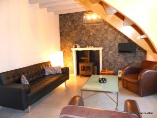 Maison rénovée avec jardin, animaux acceptés, climatisation, parking - FR-1-489-36 - Agonges - 9