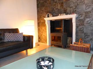 Maison rénovée avec jardin, animaux acceptés, climatisation, parking - FR-1-489-36 - Agonges - 4