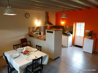 Maison rénovée avec jardin, animaux acceptés, climatisation, parking - FR-1-489-36 - Agonges - 3