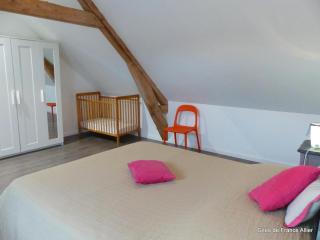 Maison rénovée avec jardin, animaux acceptés, climatisation, parking - FR-1-489-36 - Agonges - 1