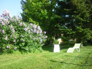 Maison de ferme rénovée en pierre avec jardin, cheminée, WIFI, équipements bébé, animaux acceptés - FR-1-489-19 - 7