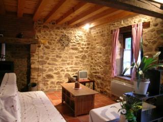 Gîte Familial avec Cascade, Pêche, Activités et Proximité de Vichy - FR-1-489-21 - Barrais-Bussolles - 7