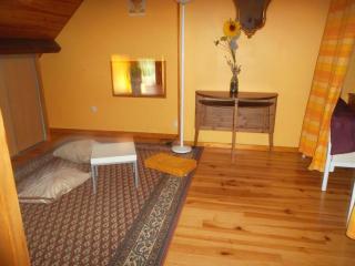 Grand gîte à Barrais-Bussolles avec cheminée et animaux acceptés - FR-1-489-21 - 6