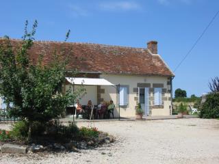 Fermette rénovée avec jardin clos, animaux acceptés, WiFi et parking - FR-1-489-87 - Bourbon-lʼArchambault - 0