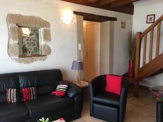 Fermette rénovée avec jardin clos, animaux acceptés, WiFi et parking - FR-1-489-87 - Bourbon-lʼArchambault - 6