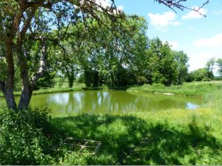 Gîte familial en Auvergne avec jardin, ping-pong, proche stations thermales, animaux acceptés - FR-1-489-127 - Mazirat - 6