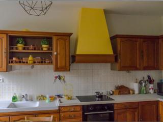 Gîte familial en Auvergne avec jardin, ping-pong, proche stations thermales, animaux acceptés - FR-1-489-127 - Mazirat - 1