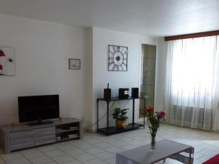 Maison cosy à Moulins : proche centre, cour fleurie, vélos, WiFi et draps fournis - FR-1-489-162 - Moulins - 6