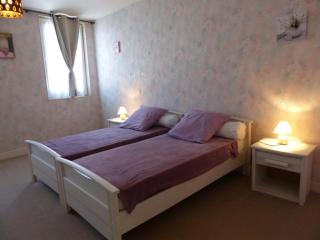Maison cosy à Moulins : proche centre, cour fleurie, vélos, WiFi et draps fournis - FR-1-489-162 - Moulins - 3