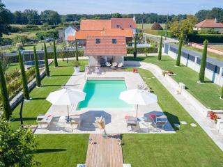 Maison avec piscine chauffée, clim et jardin - Hauterives - FR-1-489-203 - Hauterive - 8