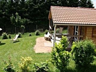 Chalets confortables avec piscine et salle de sport, au cœur de la nature, animaux acceptés - FR-1-489-288 - Échassières - 3