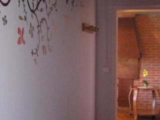 Charmante fermette au vert près de la forêt de Tronçais, 2 chambres, animaux acceptés, linge inclus - FR-1-489-311 - Vieure - 5