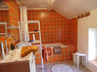 Charmante fermette au vert près de la forêt de Tronçais, 2 chambres, animaux acceptés, linge inclus - FR-1-489-311 - Vieure - 1