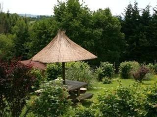 Chalet familial avec piscine, animaux acceptés, draps inclus, proche de Montluçon et Gannat - FR-1-489-323 - Échassières - 8