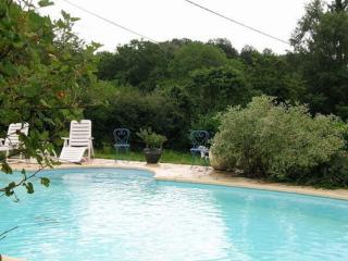 Chalet familial avec piscine, animaux acceptés, draps inclus, proche de Montluçon et Gannat - FR-1-489-323 - Échassières - 7