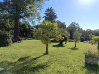 Charmant gîte avec piscine partagée, terrasse et parking privé à deux pas de Moulins - FR-1-489-373 - Neuvy - 3